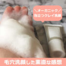 HANAオーガニックの洗顔!ピュアリクレイの口コミ
